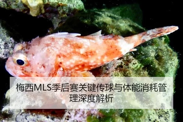 mei-xi-ji-hou-sai-guan-jian-chuan-qiu-yu-ti-neng-xiao-hao-guan-li-shen-du-jie-xi-2-601.jpg
