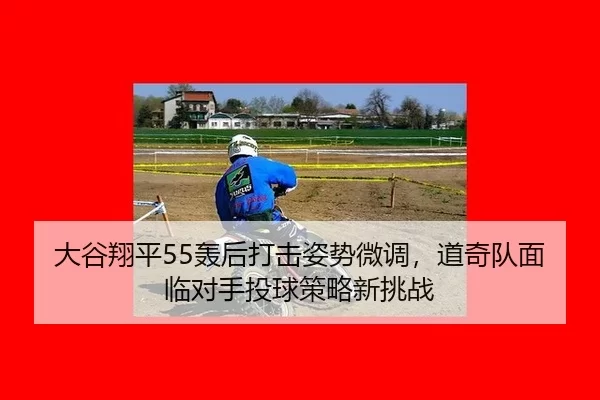 da-gu-xiang-ping-hong-hou-da-ji-zi-shi-wei-diao-dao-qi-dui-mian-lin-dui-shou-tou-qiu-ce-lve-xin-tiao-zhan-3-172.jpg