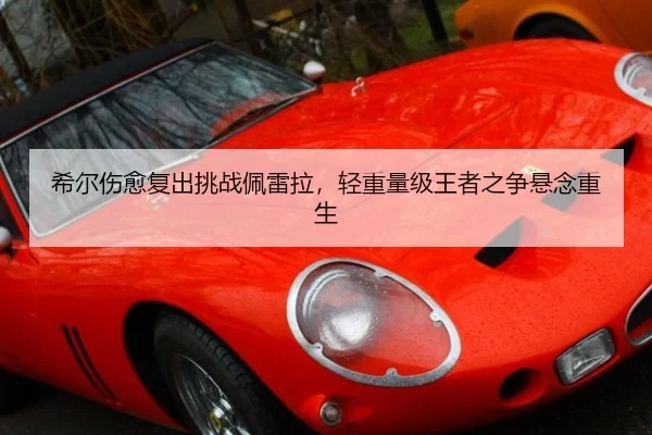 xi-er-shang-yu-fu-chu-tiao-zhan-pei-lei-la-qing-zhong-liang-ji-wang-zhe-zhi-zheng-xuan-nian-chong-sheng-2-372.jpg